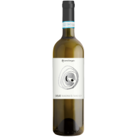 2023 | Falanghina del Sannio DOP &quot;Svelato&quot; 0,75 Liter | Terre Stregate