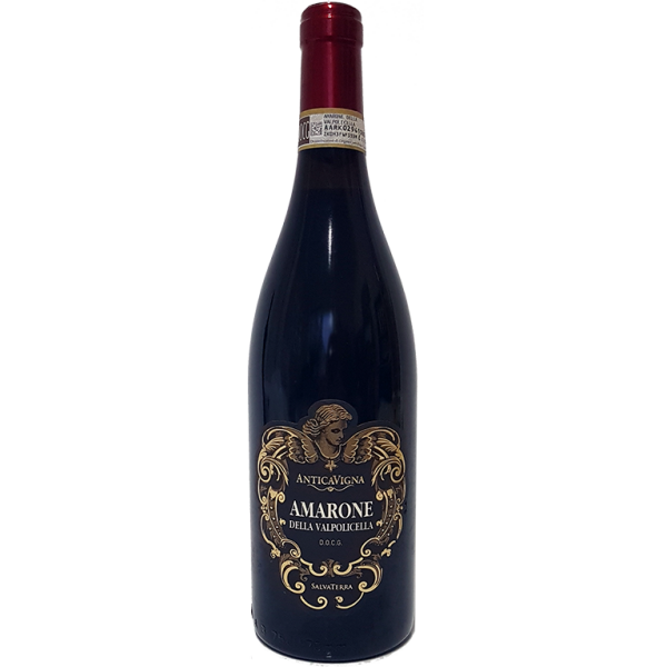 2019 | Antica Vigna Amarone della Valpolicella DOCG  0,75 Liter | Salvaterra