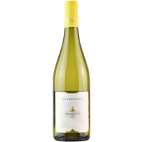 2023 | Tormaresca Chardonnay Puglia IGT 0,75 Liter | Tormaresca - Antinori