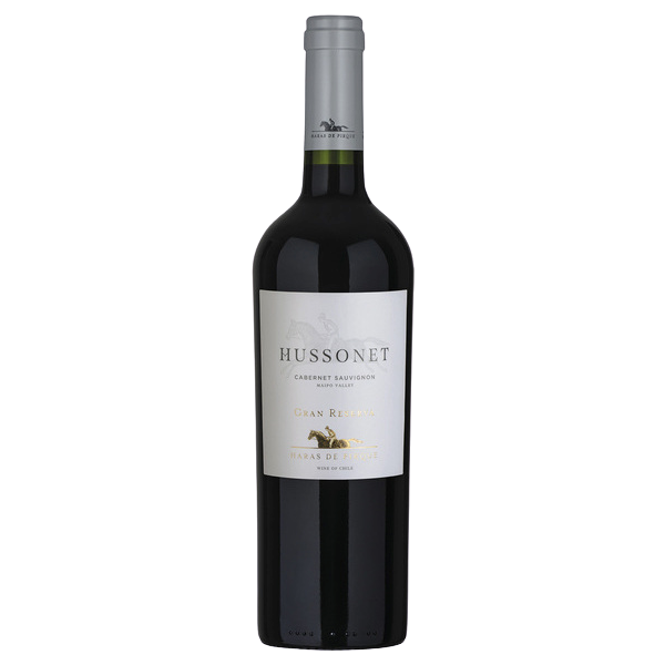 2020 | Hussonet Cabernet Sauvignon Gran Reserva 0,75 Liter (Bio) | Haras de Pirque