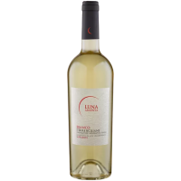 2023 | Bianco Terre Siciliane IGT 0,75 Liter | Luna Argenta